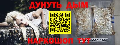 ешки Славгород