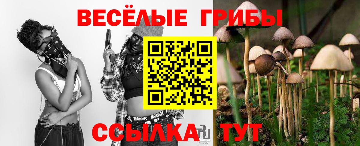 Рославль  купить наркотики сайты  Вход с VPN  Галлюциногенные грибы GOLDEN TEACHER 